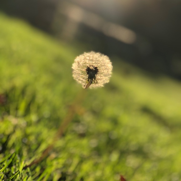 Meet your Posher, Kathlyn - Picture 1 of 1